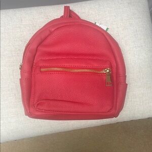 Mini red Minimalist Backpack with Gold Zipper